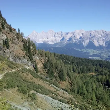 Stieber * Kleinsolk