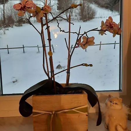 Estalagem Stieber Kleinsolk