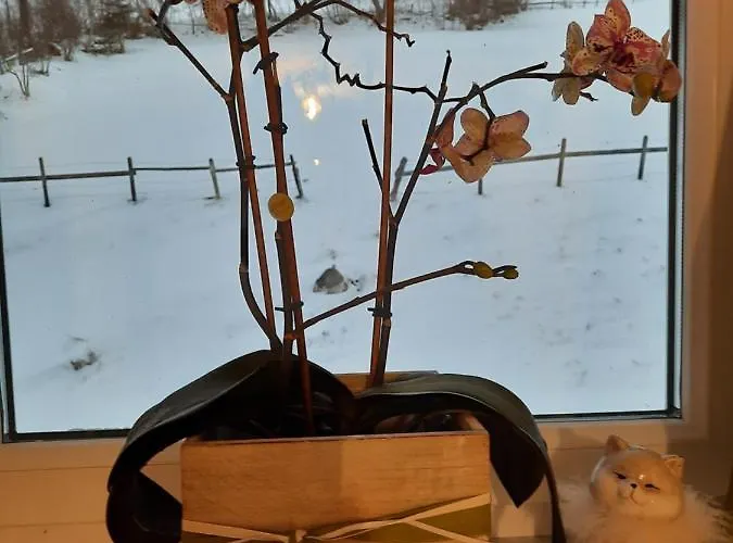 Zajazd Stieber Kleinsolk